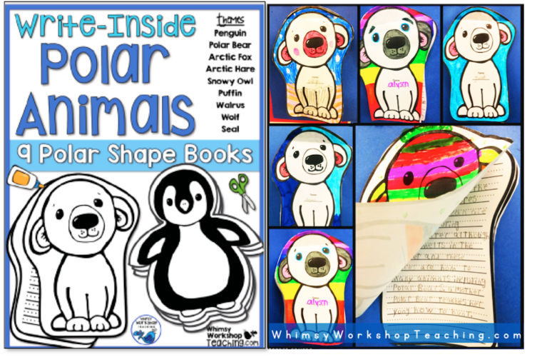 Write Insides Polar Bears