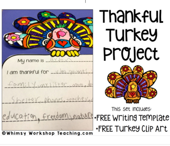 turkey project