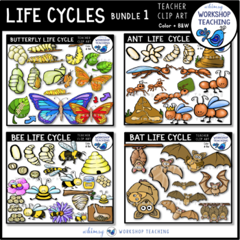 Life Cycles Clip Art Bundle 1 - Whimsy Workshop Teaching