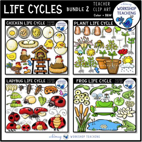 Life Cycles Clip Art Bundle 2