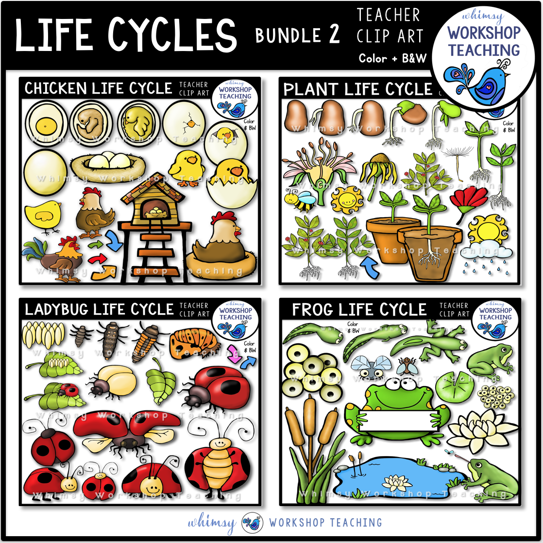 life-cycles-clip-art-bundle-2-whimsy-workshop-teaching