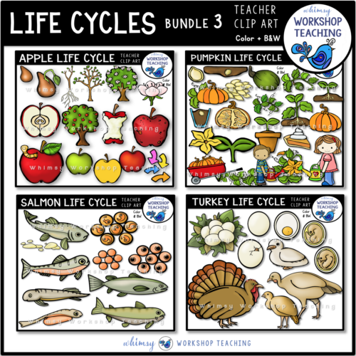 Life Cycles Clip Art Bundle 3