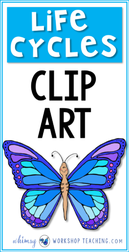 A big collection of Life Cycles clip art! Click to see the entire collection on one page.