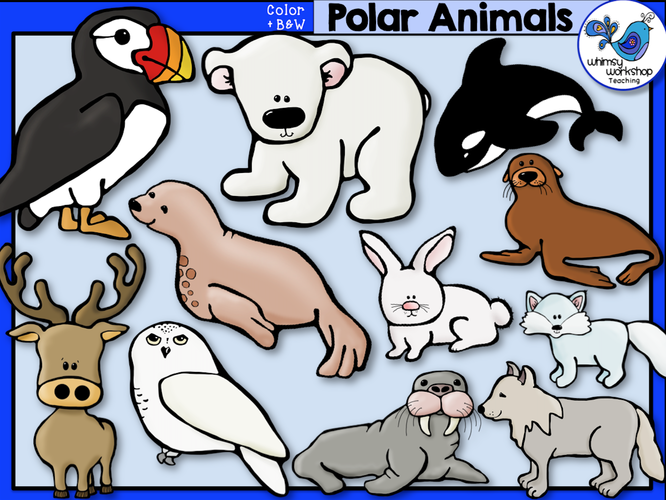 Polar Animals