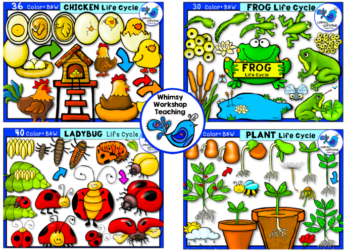 Life Cycle Bundle 2