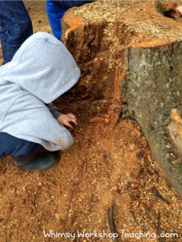 STEM exploration outside the classroom