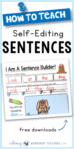 Sentence Building Kits practice basic sentences, sight words, blends, digraphs, and many more skills (free downloads)