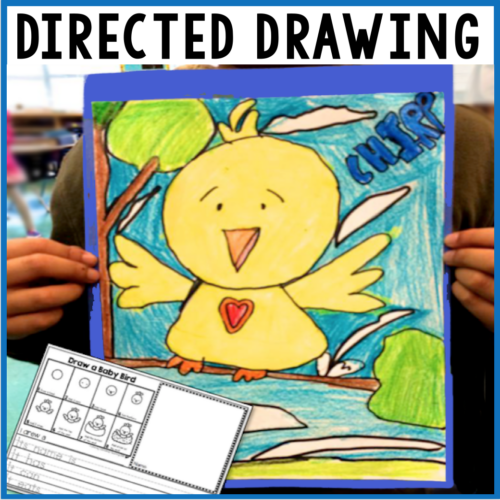 Directed Drawing