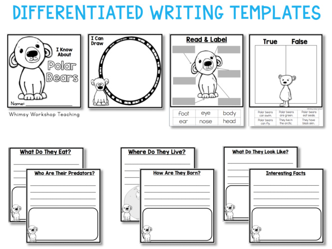 Animal Flap Books for differentiating your non-fiction projects with no prep!
