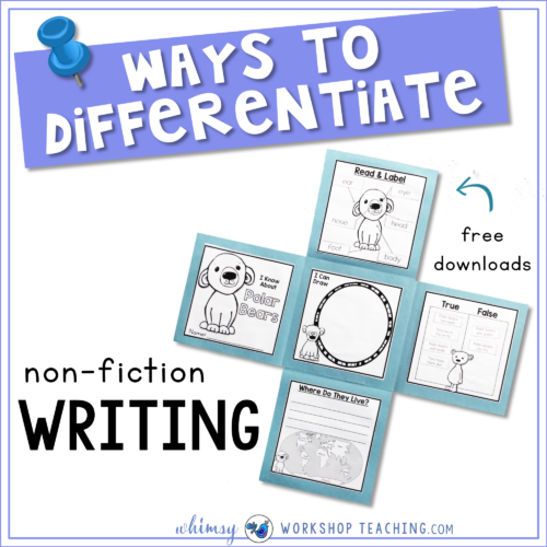 Ways To Differentiate non fiction writing