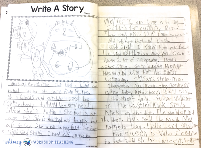 Examples of student writing