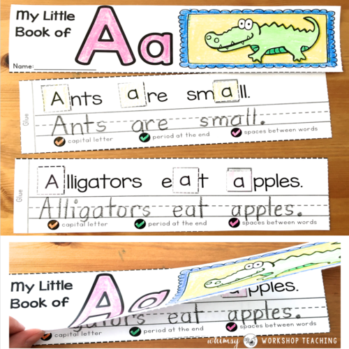Alphabet booklets to teach phonics and sentence building