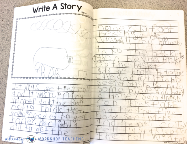 Examples of student writing