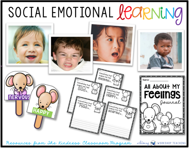 Social Emotional Learning Unit 1 Emotions