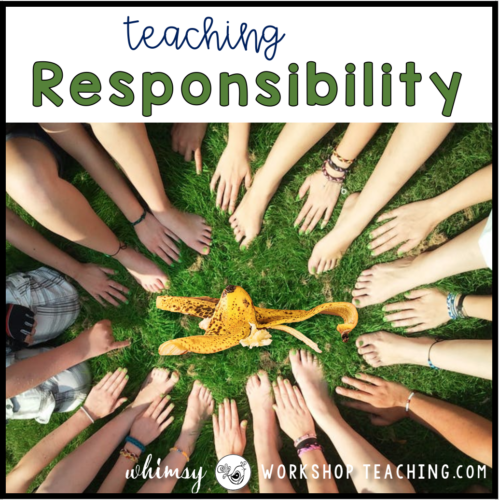 teaching responsibility