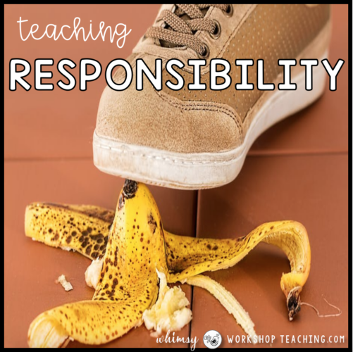 teaching responsibility