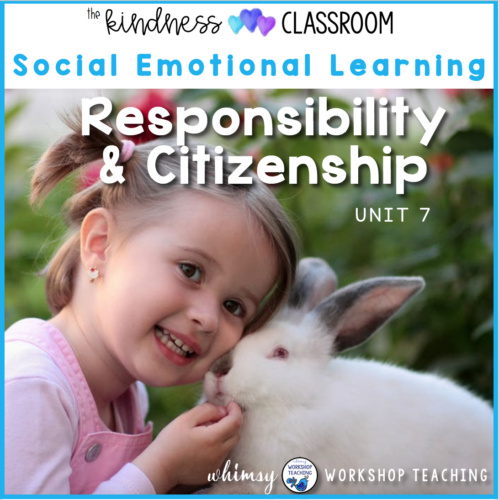 responsibility lessons