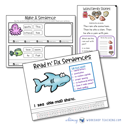 Sentence Writing and comprehension lessons and intervention binder