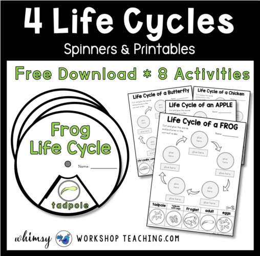 free downloads to review 4 life cycles.