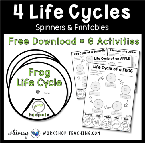 life cycles bike work shop