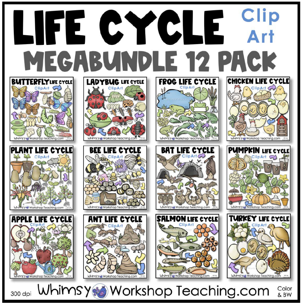 Pika Life Cycle Clipart Set Download - Clipart 4 School