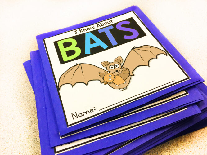 flap books