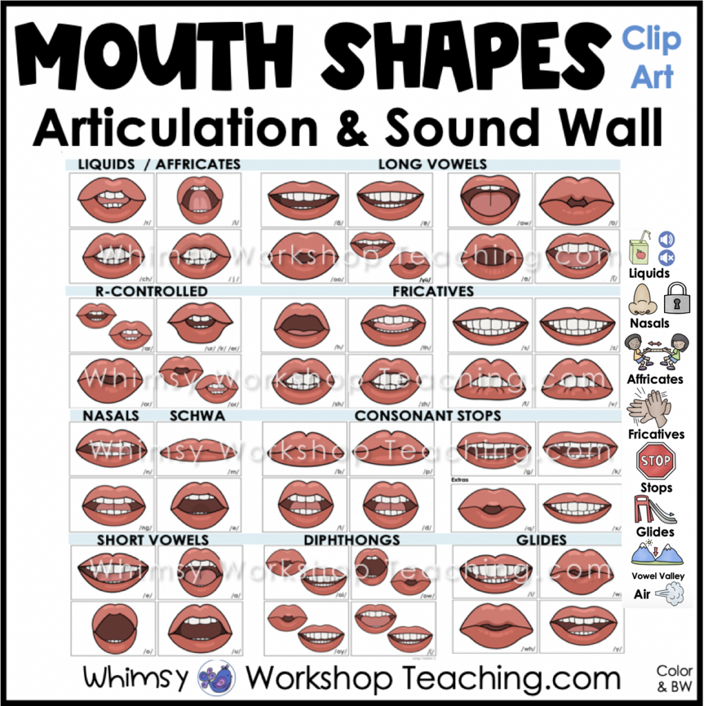 articulation mouth formation clip art
