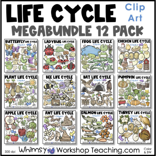 clip-art-clipart-images-color-black-white-megabundle-science-life-cycles